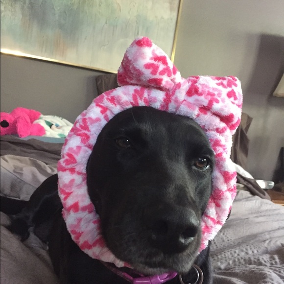 Meet your Posher, Cynthia - Picture 1 of 2